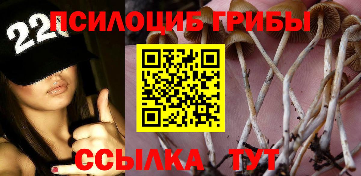 Галлюциногенные грибы MAGIC MUSHROOMS  Вход с VPN  Зерноград 