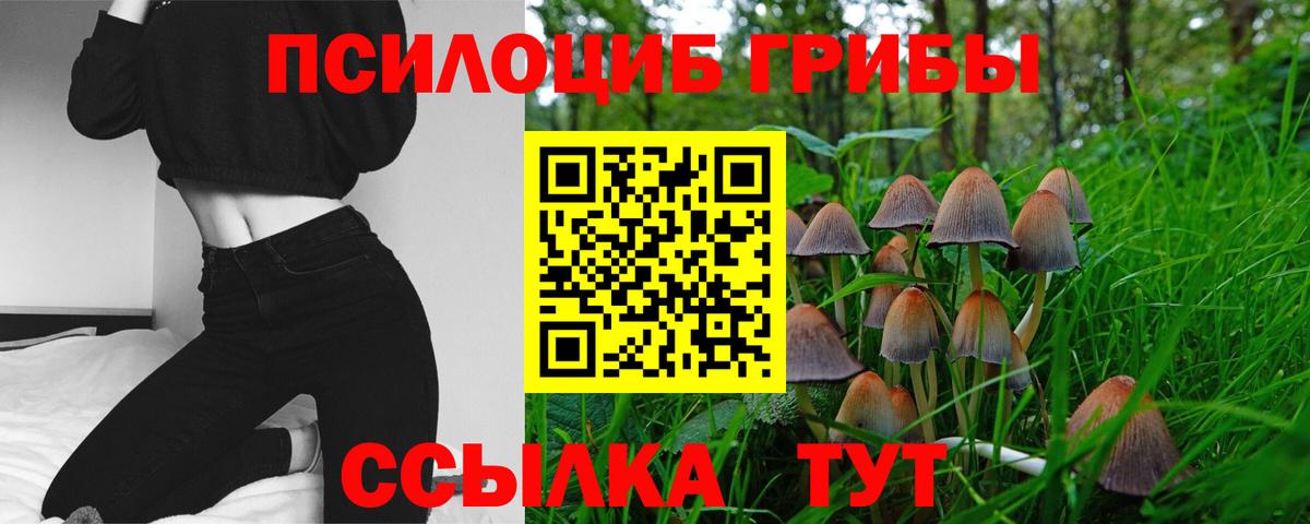 Галлюциногенные грибы Psilocybine cubensis Зерноград